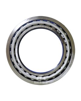 0509022100 ROLLER BEARING