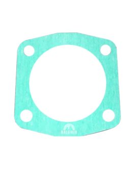 55004226 GASKET PLATE