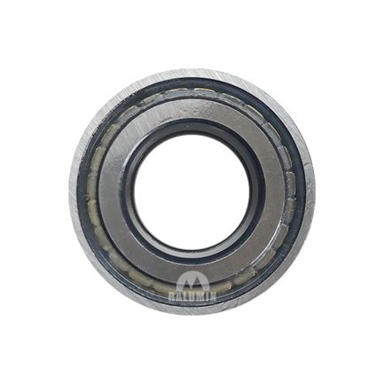 010515109 BEARING